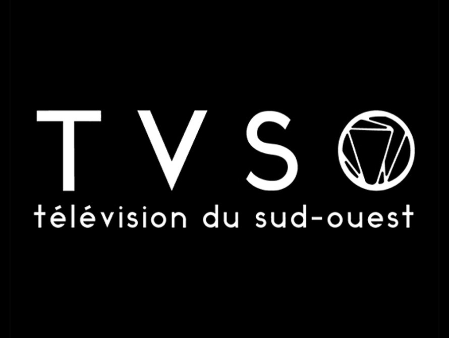 Télévision du Sud-Ouest, TVSO